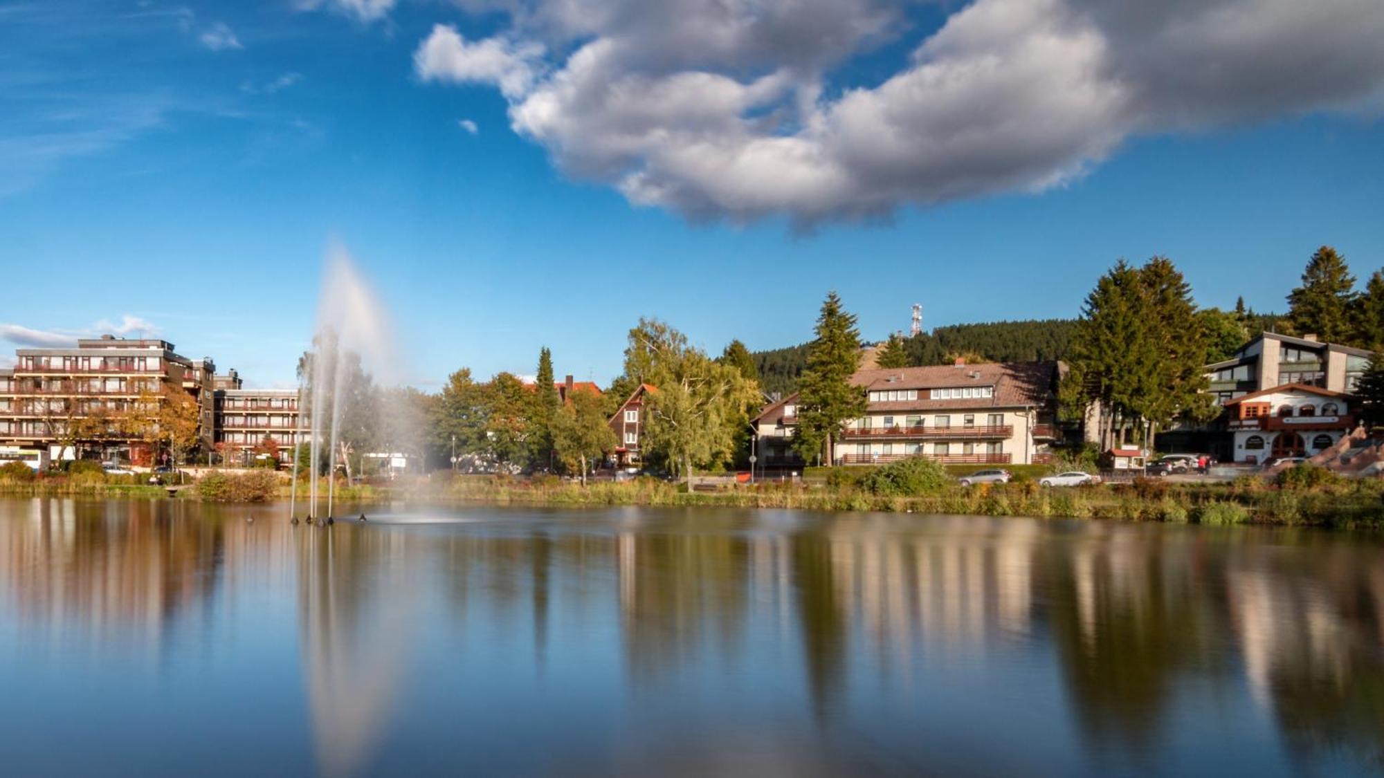 Modern & Vintage Bocksbergblick Ferienpark Hahnenklee Goslar Exteriör bild